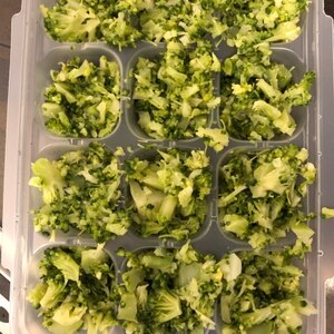 離乳食初期 ブロッコリーペースト冷凍方法 レシピ 作り方 By Rママ 楽天レシピ 離乳食初期 ブロッコリーペースト冷凍方法 レシピ 作り方 By Rママ 楽天レシピ